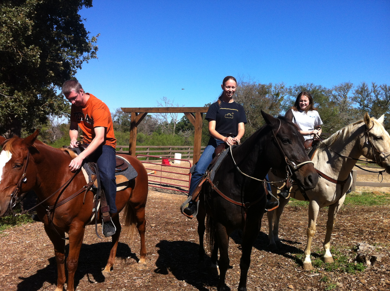 Illustration for article titled Horse: The Jalopnik Review
